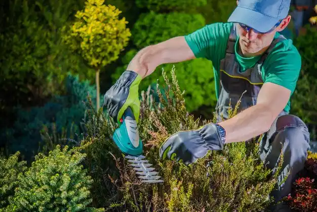 landscaping services West Milton